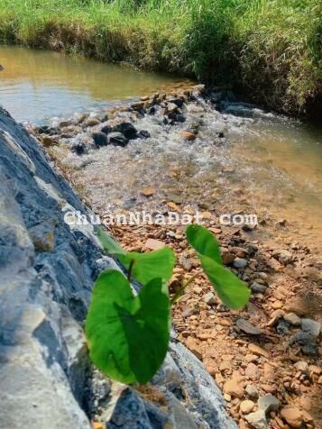 BIỆT THỰ NGHỈ DƯỠNG - KINH DOANH ĐỈNH CAO LUÔN FULL PHÒNG BIỆT THỰ NGHỈ DƯỠNG - KINH DOANH ĐỈNH CAO LUÔN FULL PHÒNG