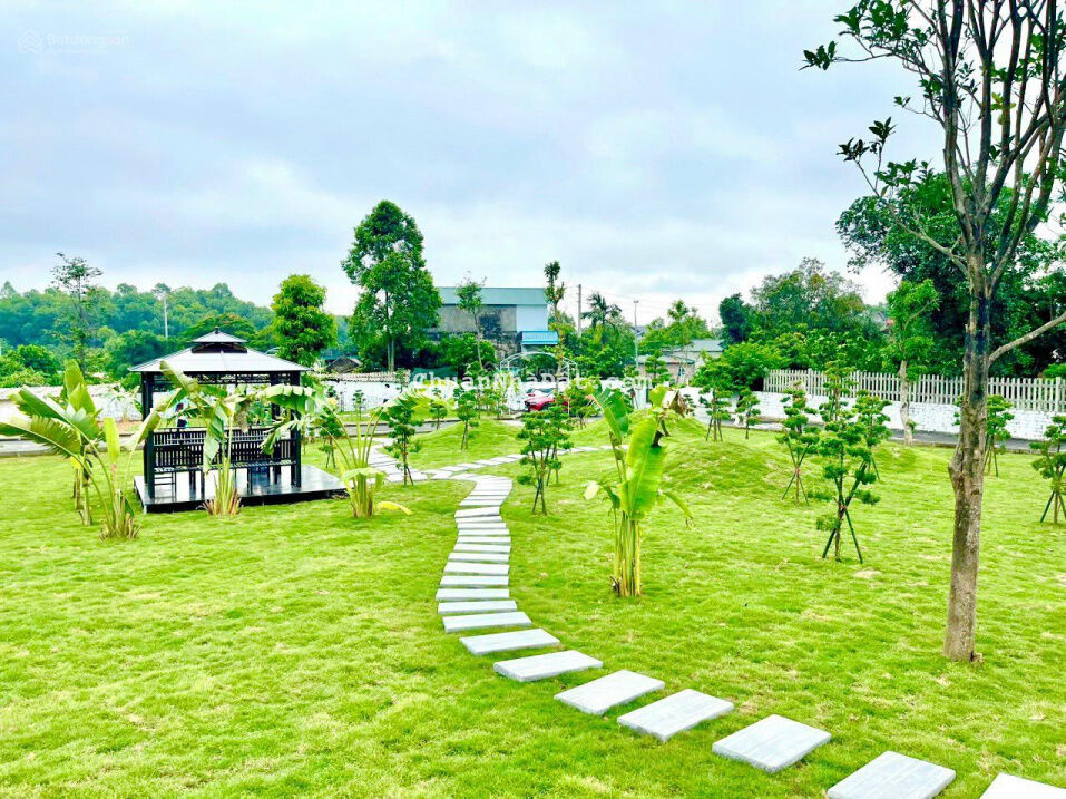 Chính chủ bán gấp lô góc 2 mặt tiền lưng tựa núi, mặt hướng suối. 5p ra khu ĐHQG và tổ hợp Y tế Chính chủ bán gấp lô góc 2 mặt tiền lưng tựa núi, mặt hướng suối. 5p ra khu ĐHQG và tổ hợp Y tế