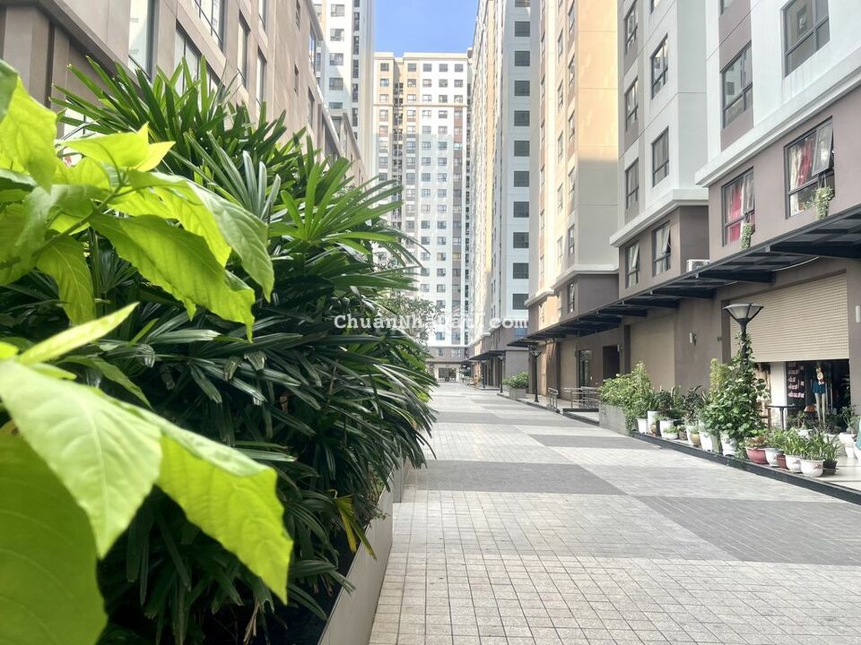 Shophouse 1 trệt 1 lầu mặt tiền Phạm Thế Hiện Quận 8, SHR