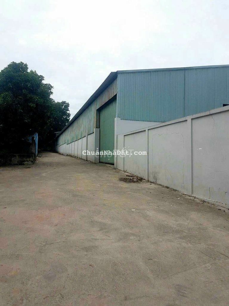 Bán Xưởng Tân Vĩnh Hiệp 2000m, đang cho thuê 120 triệu. Giá 16,5 tỷ.