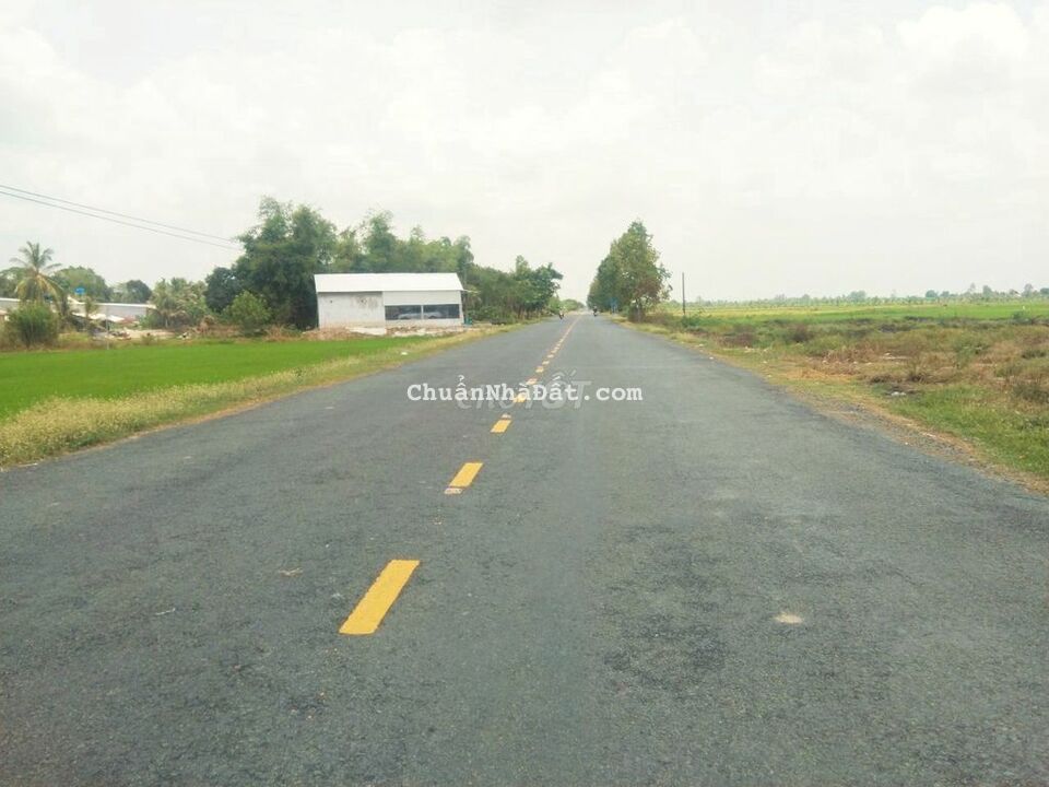 Đất 40x500 mặt tiền Tỉnh Lộ 919 cách TT Cờ Đỏ 6km