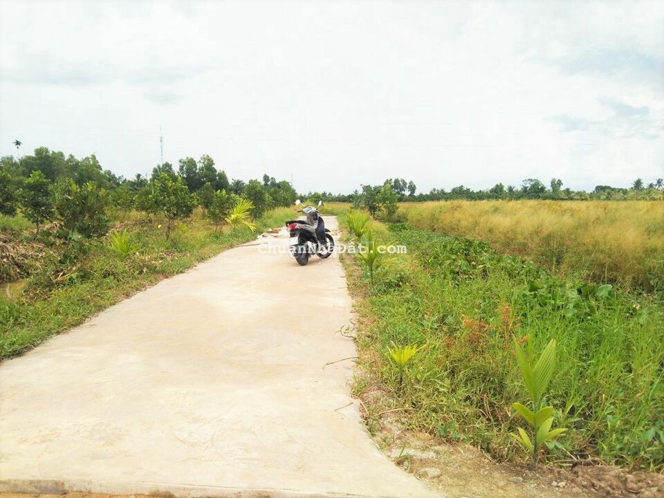 Đất 41x219 tổng 9102m2 lộ ô tô Định Môn Đất 41x219 tổng 9102m2 lộ ô tô Định Môn