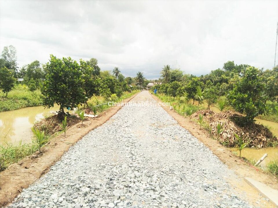 Đất 41x219 tổng 9102m2 lộ ô tô Định Môn Đất 41x219 tổng 9102m2 lộ ô tô Định Môn