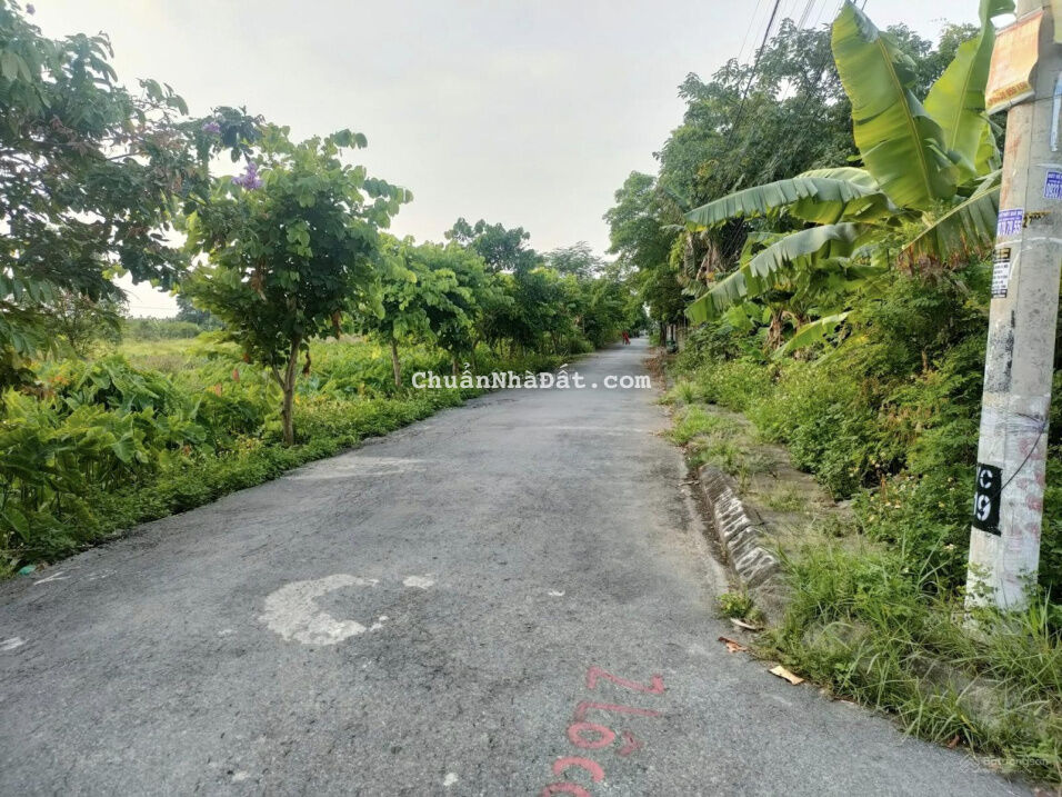 Bán đất tại Văn Cú, An Đồng, An Dương, Hải Phòng