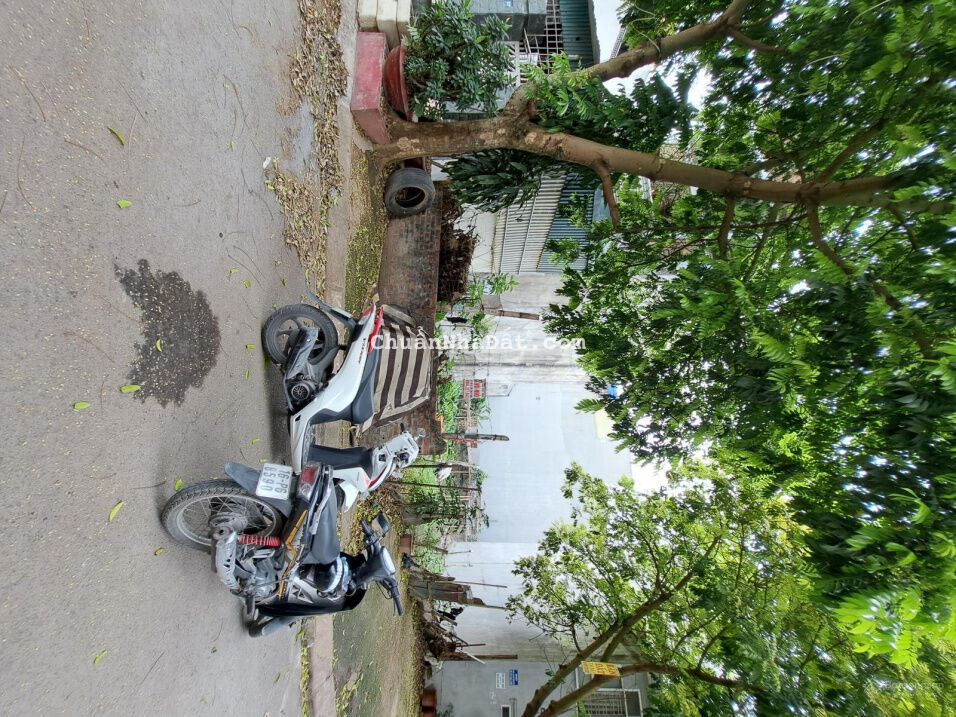 Bán đất khu phân lô đường 1 An trang
. .tuyến 2 đường Tôn Đức Thắng.ngay chân cầu An Đồng.