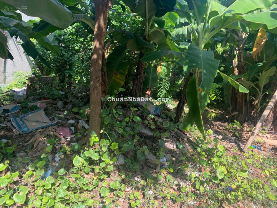 Bán lô đất Cái Tắt, An Đồng 97m2 giá chỉ 2,3x tỷ. LH 0979087664 Bán lô đất Cái Tắt, An Đồng 97m2 giá chỉ 2,3x tỷ. LH 0979087664