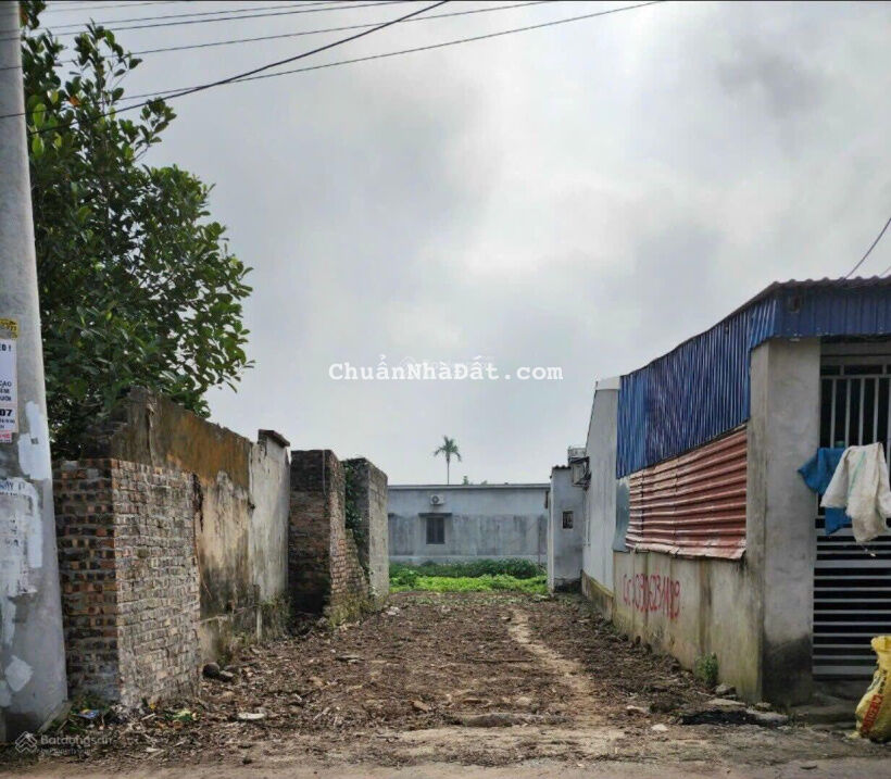 Cắt lỗ 171mv mặt đường trục chính thôn rộng 8m Câu Thượng Quang Hưng An Lão