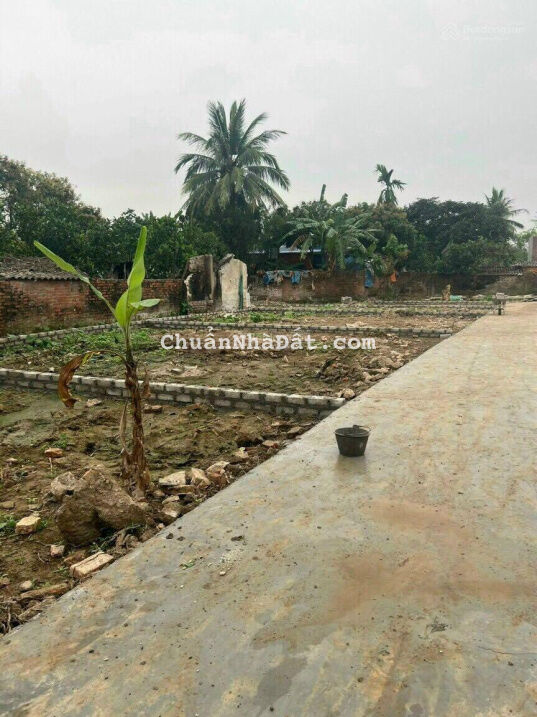 Đất Quang Khải - Quang Hưng - An Lão - Hải Phòng