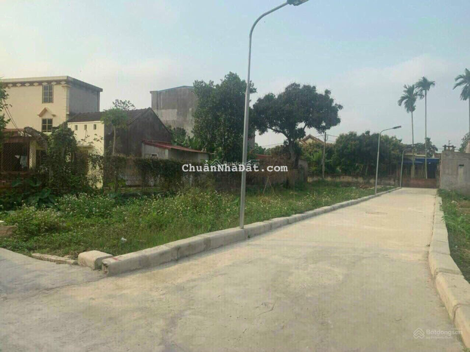 Cắt lỗ lô đất 62,8m2 đường thông tại Áng Sơn, Thái Sơn, An Lão