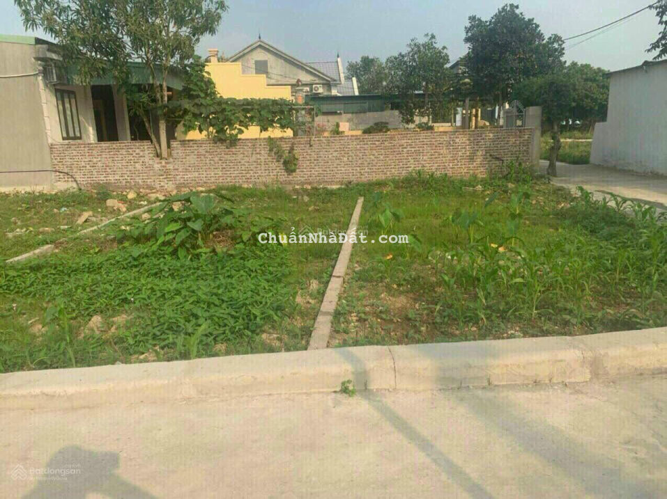 Cắt lỗ lô đất 62,8m2 đường thông tại Áng Sơn, Thái Sơn, An Lão