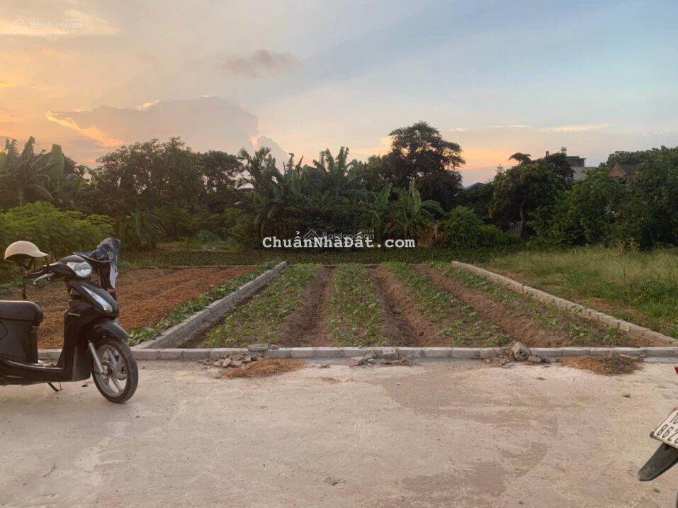 Giảm giá lô 64,4m2 Bách Phương, An Thắng, An Lão Giảm giá lô 64,4m2 Bách Phương, An Thắng, An Lão