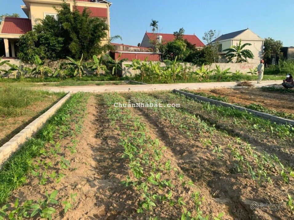 Giảm giá lô 64,4m2 Bách Phương, An Thắng, An Lão Giảm giá lô 64,4m2 Bách Phương, An Thắng, An Lão