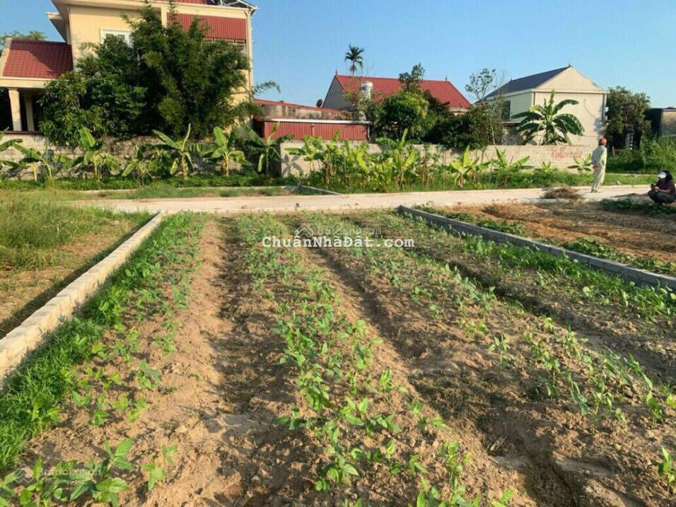 Giảm sâu lô đất 64,4m2, đường 5m tại thôn Bách Phương, xã An Thắng, huyện An Lão