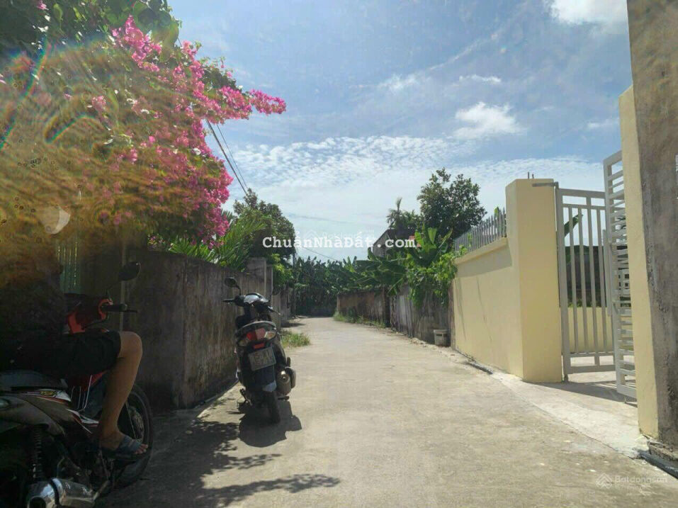 Cắt lỗ lô 66,2m2 ngang 5 mặt đường thông 4m tại Đông Nham, Quốc Tuấn, An Lão