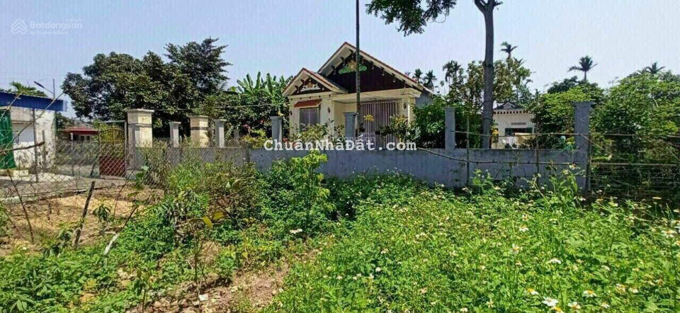 Cắt lỗ 77,4m2 đất Câu Thượng, Quang Hưng, An Lão