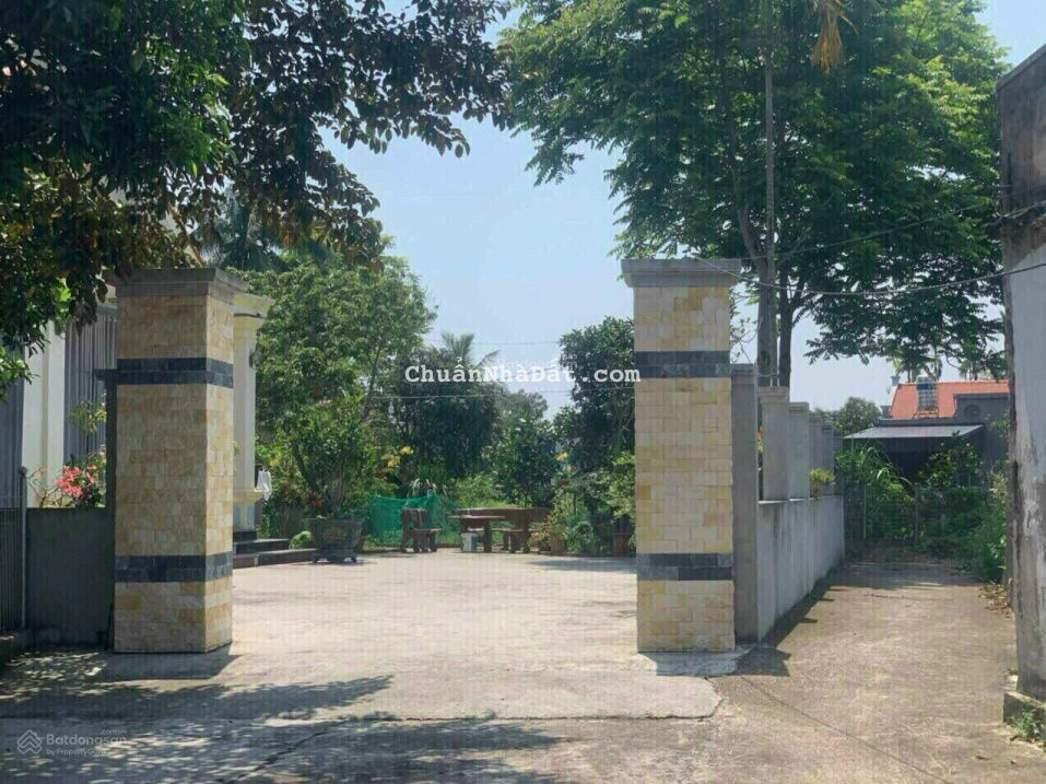 Cắt lỗ 77,4m2 đất Câu Thượng, Quang Hưng, An Lão