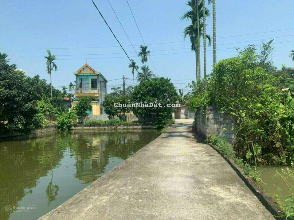 Giảm giá lô 77,4m2 ngang 5m, tại Câu Trung, Quang Hưng, An Lão Giảm giá lô 77,4m2 ngang 5m, tại Câu Trung, Quang Hưng, An Lão