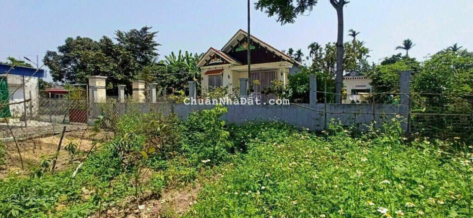 Giảm giá lô 77,4m2 ngang 5m, tại Câu Trung, Quang Hưng, An Lão Giảm giá lô 77,4m2 ngang 5m, tại Câu Trung, Quang Hưng, An Lão