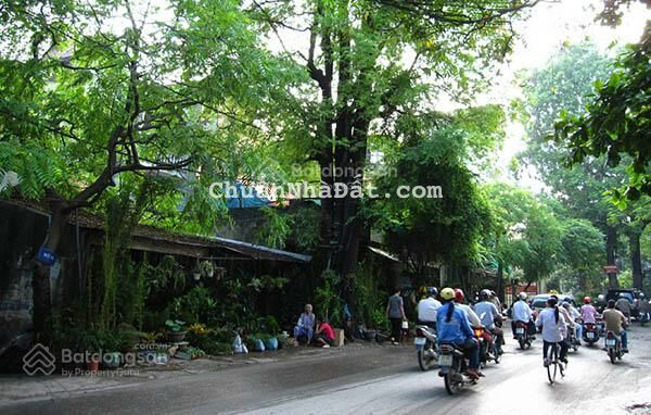 Thửa đất mặt phố Hoàng Hoa Thám - Ba Đình 124 m2, MT 5 m, giá 16 tỷ