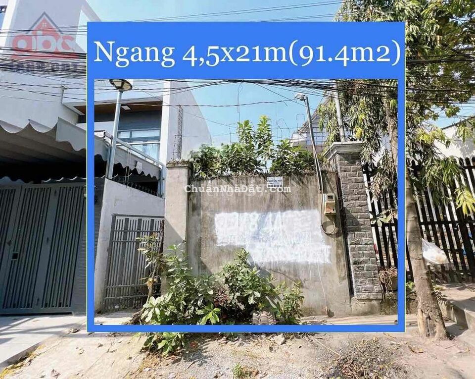 BÁN LÔ ĐẤT GIÁ TỐT TẠI PHƯỜNG TÂN PHONG BÁN LÔ ĐẤT GIÁ TỐT TẠI PHƯỜNG TÂN PHONG