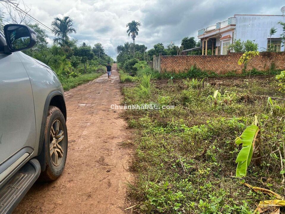 Bán Gấp 175m2. 185tr tx Buôn Hồ Đắk Lắk. Đường Bê Tông Khu Dân Cư