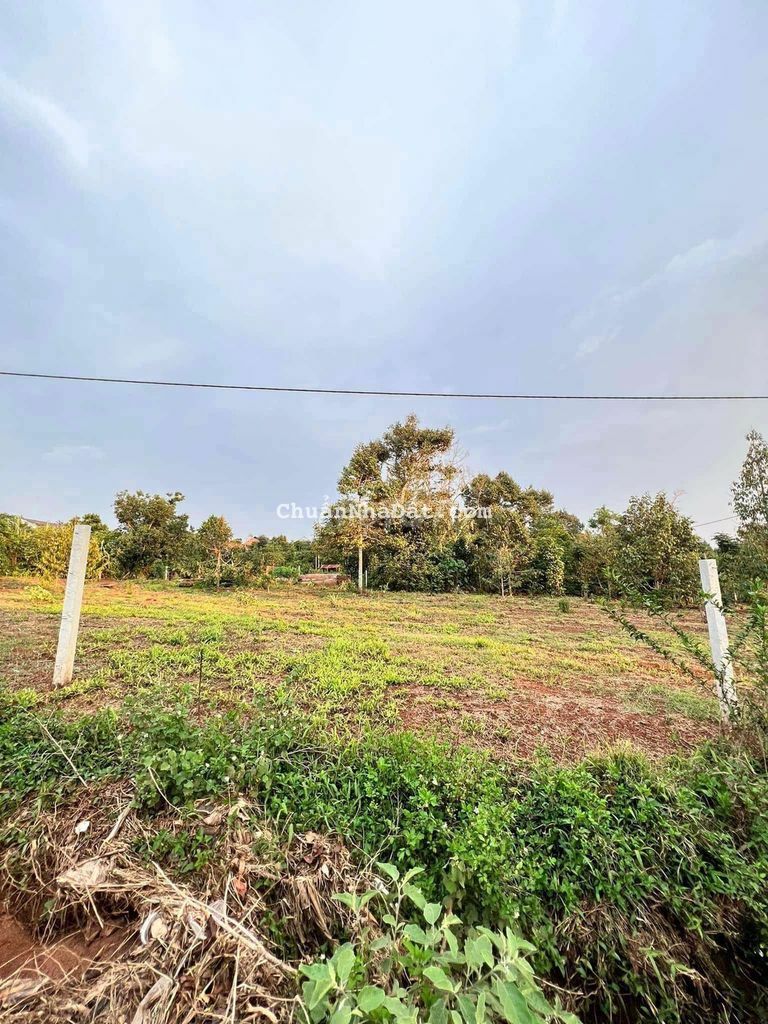 BÁN ĐẤT KDL BẾN NƯỚC PHƯỜNG ĐẠT HIẾU. TX BUÔN HỒ. 6M×35 TC40. 350TR