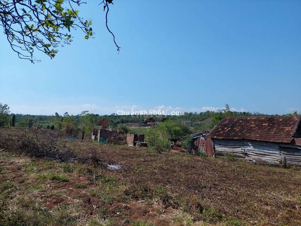 BÁN BLOCK 12 LÔ FULL HỒNG LÊN ĐƯỢC THỔ CƯ BUÔN HỒ ĐẮK LẮK 139TR/500M2