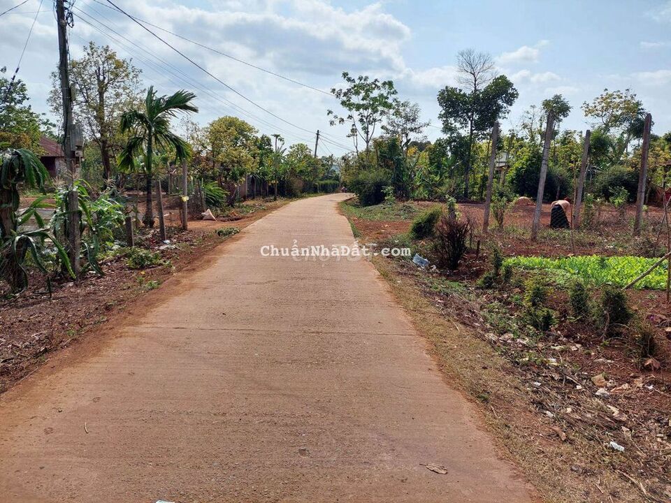 BÁN 10×50 THỔ CƯ 60M2. GIÁ: 370TR. KHU DÂN CƯ. QUỐC LÔ 120M. BUÔN HỒ BÁN 10×50 THỔ CƯ 60M2. GIÁ: 370TR. KHU DÂN CƯ. QUỐC LÔ 120M. BUÔN HỒ