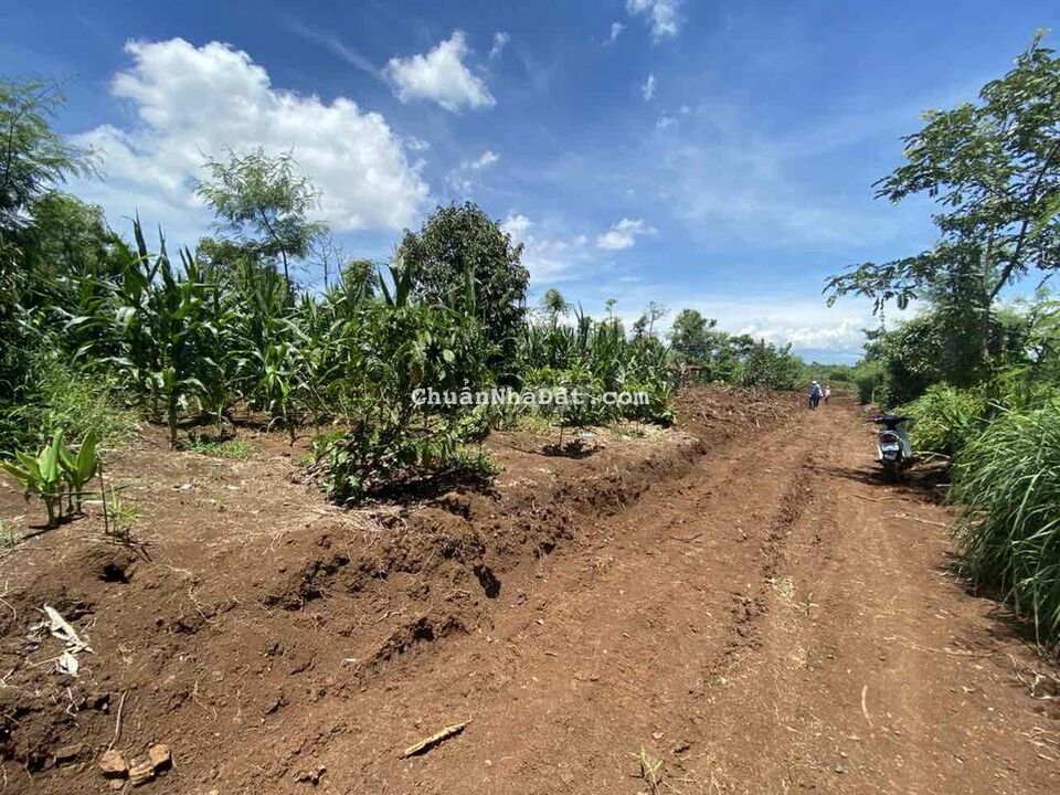 Cần tiền bán lô đất Quốc Lộ 29, X. Ea Drông, TX. Buôn Hồ, Đắk Lắk Cần tiền bán lô đất Quốc Lộ 29, X. Ea Drông, TX. Buôn Hồ, Đắk Lắk