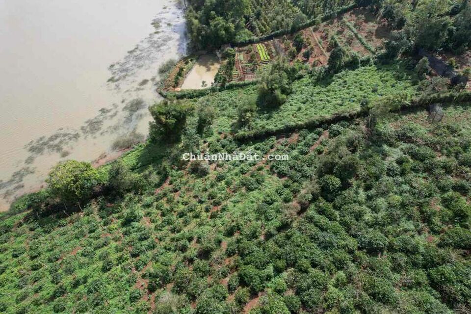 7,5 sào view hồ Cư Bao tuyệt đẹp chỉ 320tr/sao Qanh