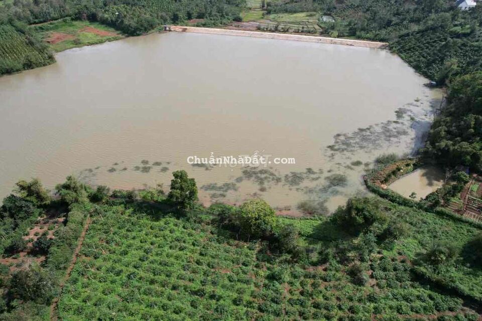 7,5 sào view hồ Cư Bao tuyệt đẹp chỉ 320tr/sao Qanh