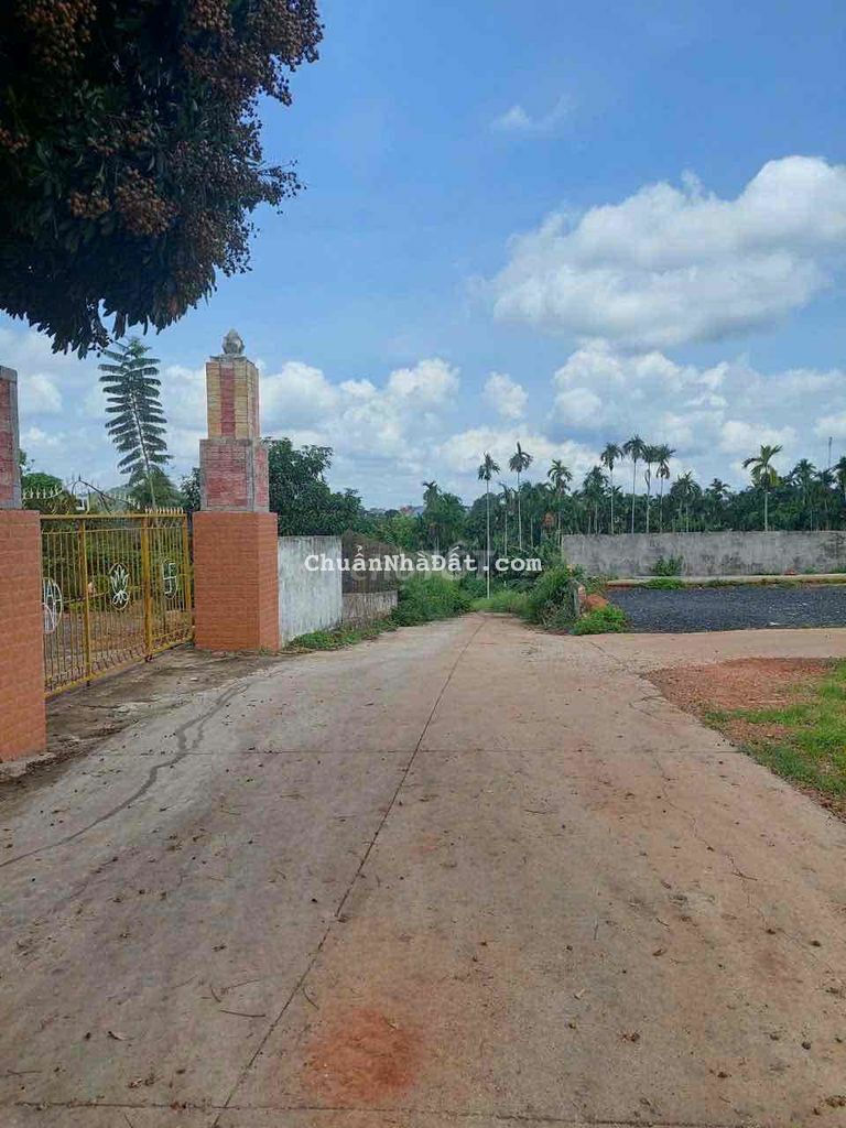 ĐẤT HẺM 33 GIẢI PHÓNG TÂN THÀNH CÁCH MẶT TIỀN GIẢI PHÓNG 120m ĐẤT HẺM 33 GIẢI PHÓNG TÂN THÀNH CÁCH MẶT TIỀN GIẢI PHÓNG 120m