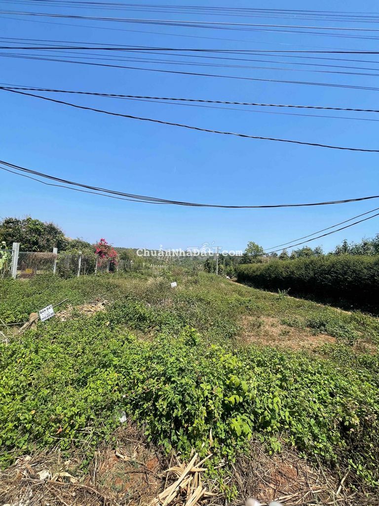 Đất TC 2 mặt đường 26A Hoà Thuận view đẹp 5x24m