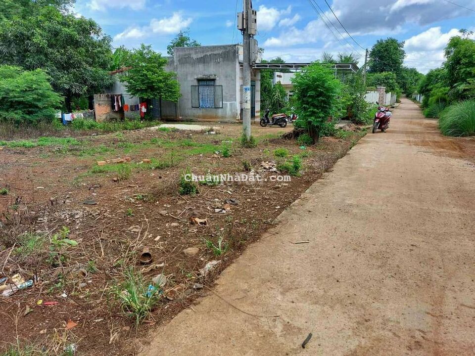 ĐẤT ĐẦU TƯ SAU CHỢ HÒA PHÚ - 💰💰 450 TRIỆU