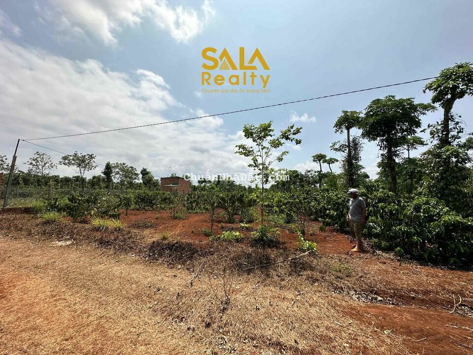 Đất sào thuộc phường Khánh Xuân 1890m2 2 mặt tiền