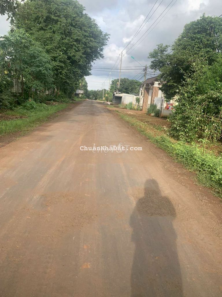 ĐẤT MẶT TIỀN ĐƯỜNG NGUYỄN XUÂN NGUYÊN GẦN TRƯỜNG NGÔ MÂY