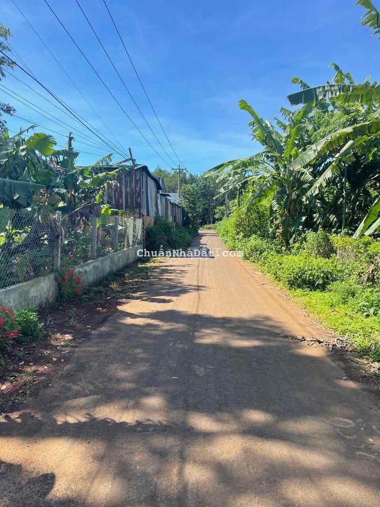 Cách quốc lộ 26 chỉ vài bước chân 1 lô siêu dài km10 10x30m 1,5 tỷ Cách quốc lộ 26 chỉ vài bước chân 1 lô siêu dài km10 10x30m 1,5 tỷ