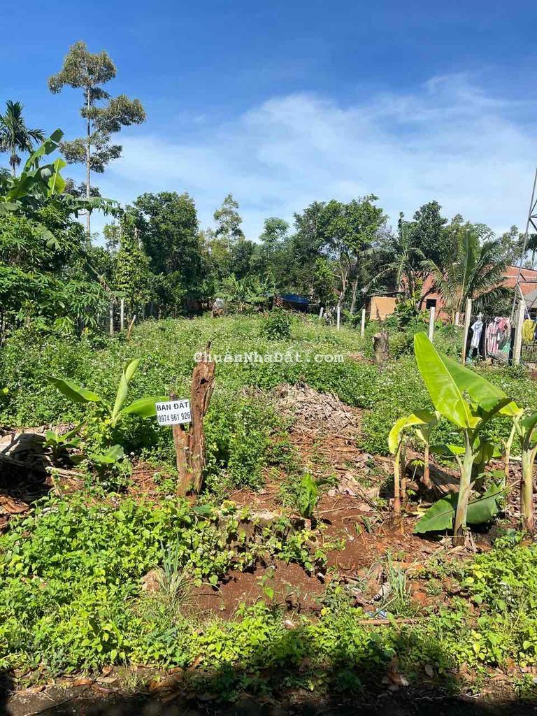 Cách quốc lộ 26 chỉ vài bước chân 1 lô siêu dài km10 10x30m 1,5 tỷ Cách quốc lộ 26 chỉ vài bước chân 1 lô siêu dài km10 10x30m 1,5 tỷ