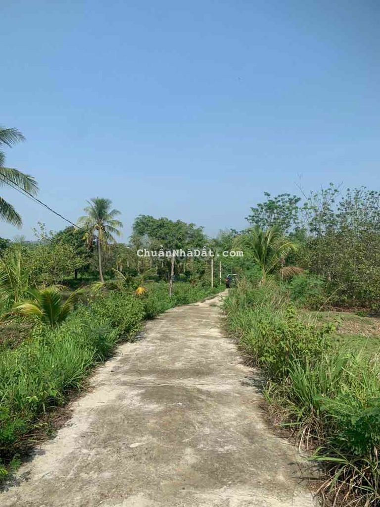 3,7 sào ôm 117m mặt đường bê tông thôn 5 Hoà Phú bao đẹp