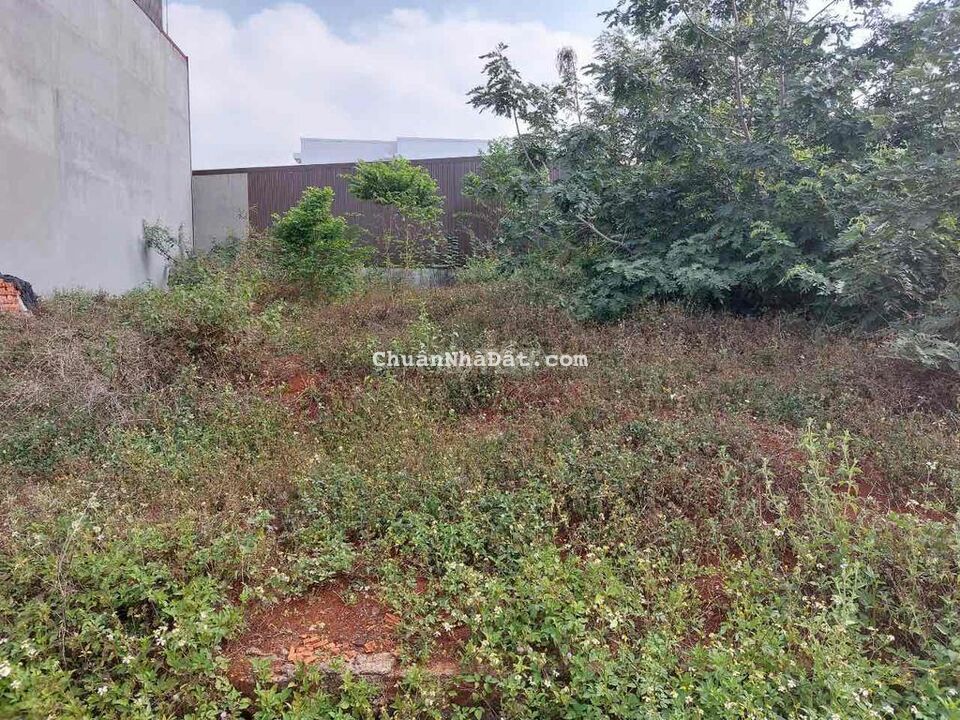 Đất TC mặt tiền Nguyễn Tri Phương 4,5×22 chỉ 1.95ty Đất TC mặt tiền Nguyễn Tri Phương 4,5×22 chỉ 1.95ty