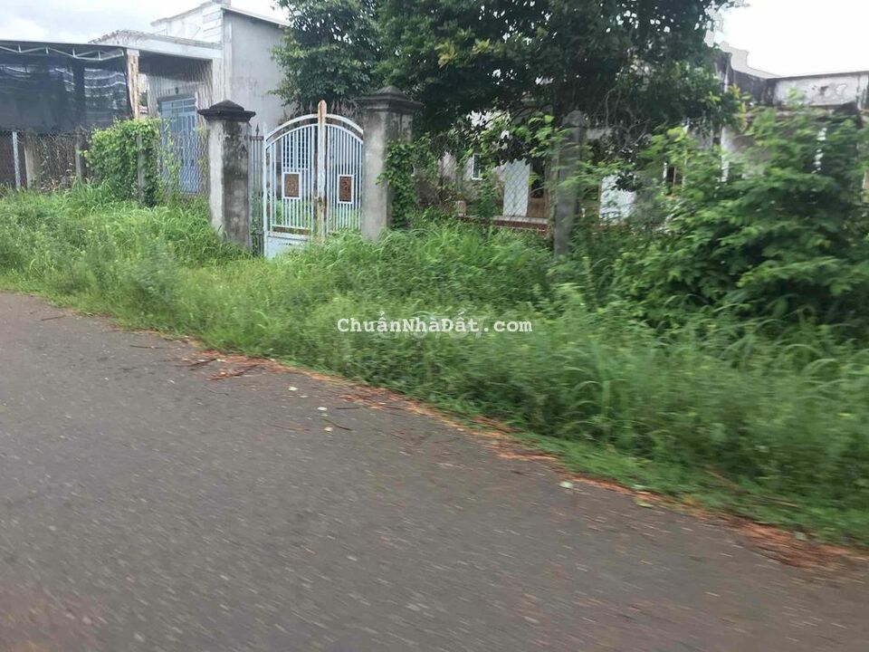 Đất mặt tienwf đường nhựa số 18,1200m2 thổ 300m2, xã Hoà Long,Bà Rịa