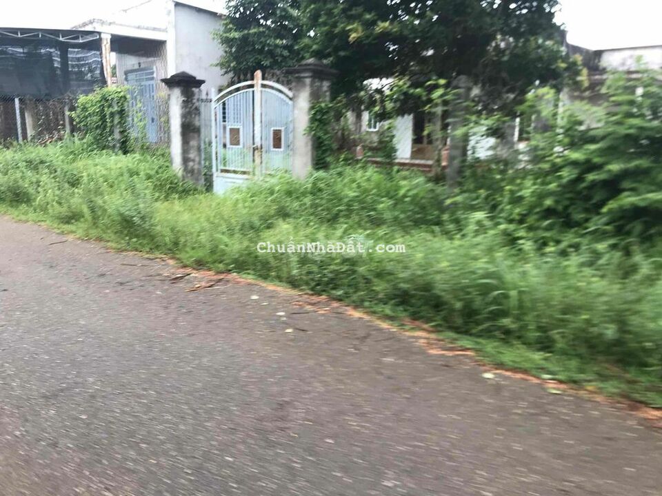 Đất mặt tienwf đường nhựa số 18,1200m2 thổ 300m2, xã Hoà Long,Bà Rịa