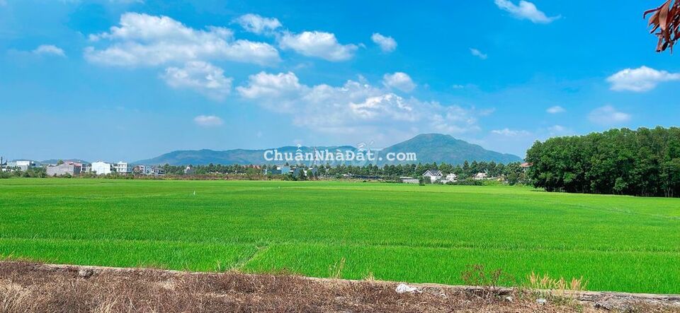 BÁN ĐẤT HÒA LONG TP BÀ RỊA VŨNG TÀU 138m đường 15m BÁN ĐẤT HÒA LONG TP BÀ RỊA VŨNG TÀU 138m đường 15m