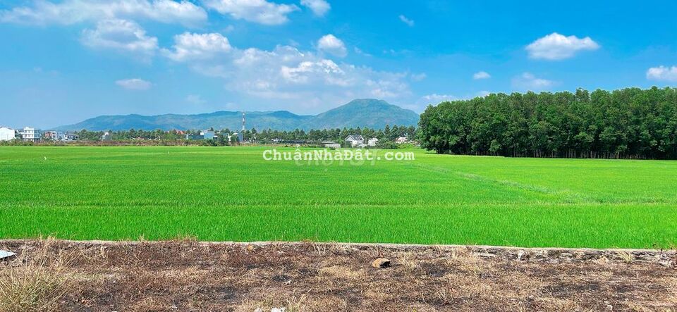 BÁN ĐẤT HÒA LONG TP BÀ RỊA VŨNG TÀU 138m đường 15m BÁN ĐẤT HÒA LONG TP BÀ RỊA VŨNG TÀU 138m đường 15m