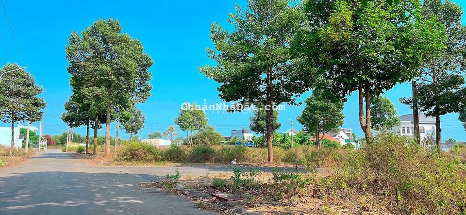 BÁN ĐẤT HÒA LONG TP BÀ RỊA VŨNG TÀU 299m