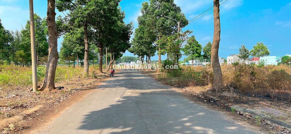 BÁN ĐẤT HÒA LONG TP BÀ RỊA VŨNG TÀU 299m