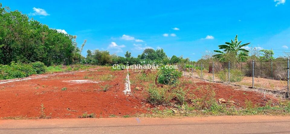BÁN ĐẤT LONG PHƯỚC BÀ RỊA VŨNG TÀU 667m