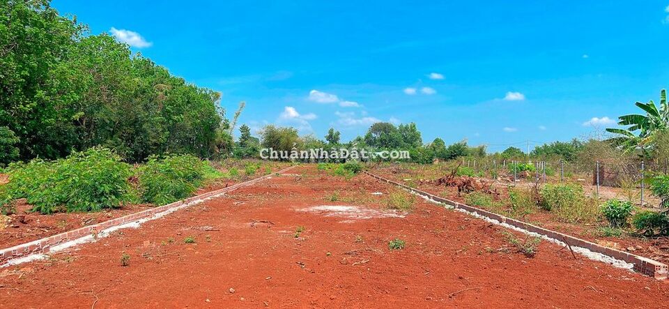 BÁN ĐẤT LONG PHƯỚC BÀ RỊA VŨNG TÀU 667m