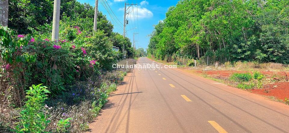 BÁN ĐẤT LONG PHƯỚC BÀ RỊA VŨNG TÀU 667m