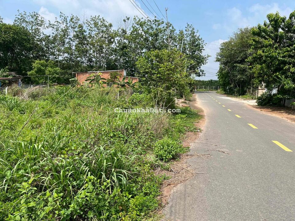 Cần bán nhanh lô 1000m2 đất vườn